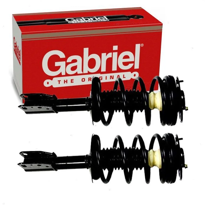 2 pc Gabriel ReadyMount G57204 Suspension Strut & Coil Springs