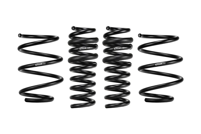 Eibach Springs E10-203-004-01-22 Set of 4 Springs