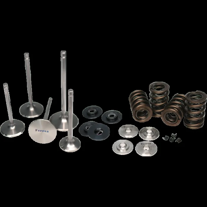 Ferrea 17-18 Audi 2.5 TFSI Single Spring Kit – KT4042