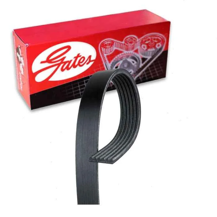 Gates Micro-V Serpentine Belt for 2016 Land Rover Range Rover Sport 3.0L V6