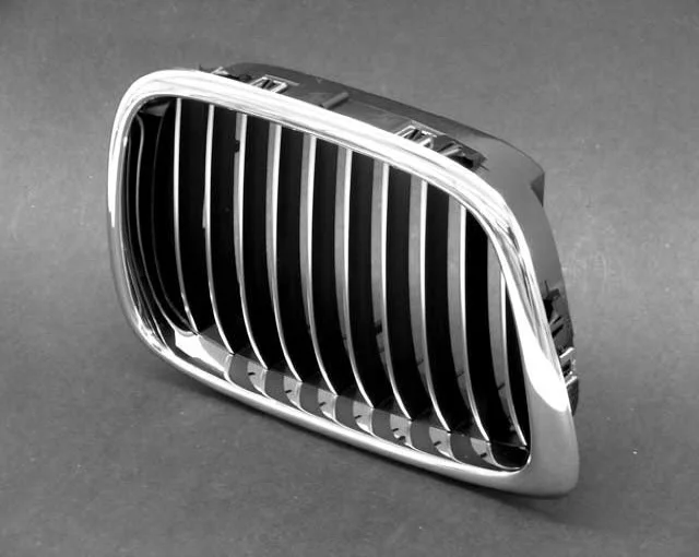 Genuine BMW 51132497262 – Grille (Front Right)