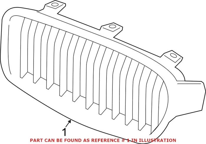Genuine BMW 51137294810 – Grille (Front Right)