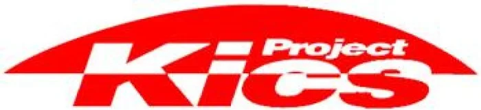Project Kics 12×1.25 Leggdura Racing Shell Type Core Nut Replacement (Single)