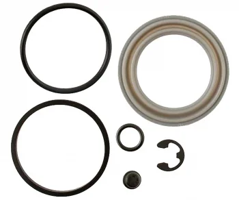 Raybestos® WK4234 Disc Brake Caliper Seal Kit