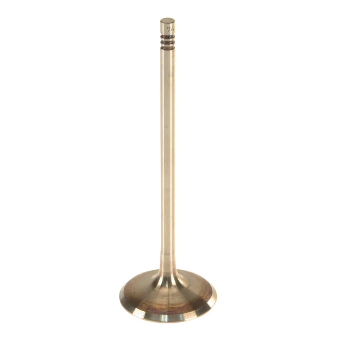 TRW 111219 – Engine Intake Valve