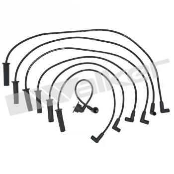 Walker® 924-1803 Spark Plug Wire Set